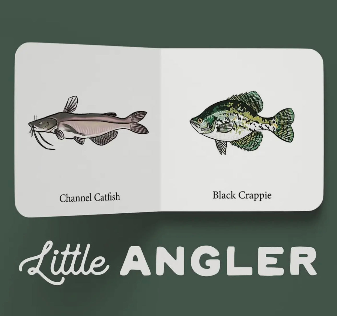 Little Angler Book Set