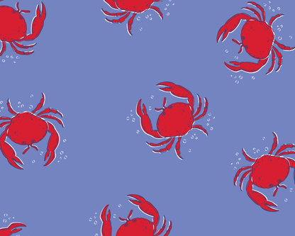 Coastal Crab Swim Shorts