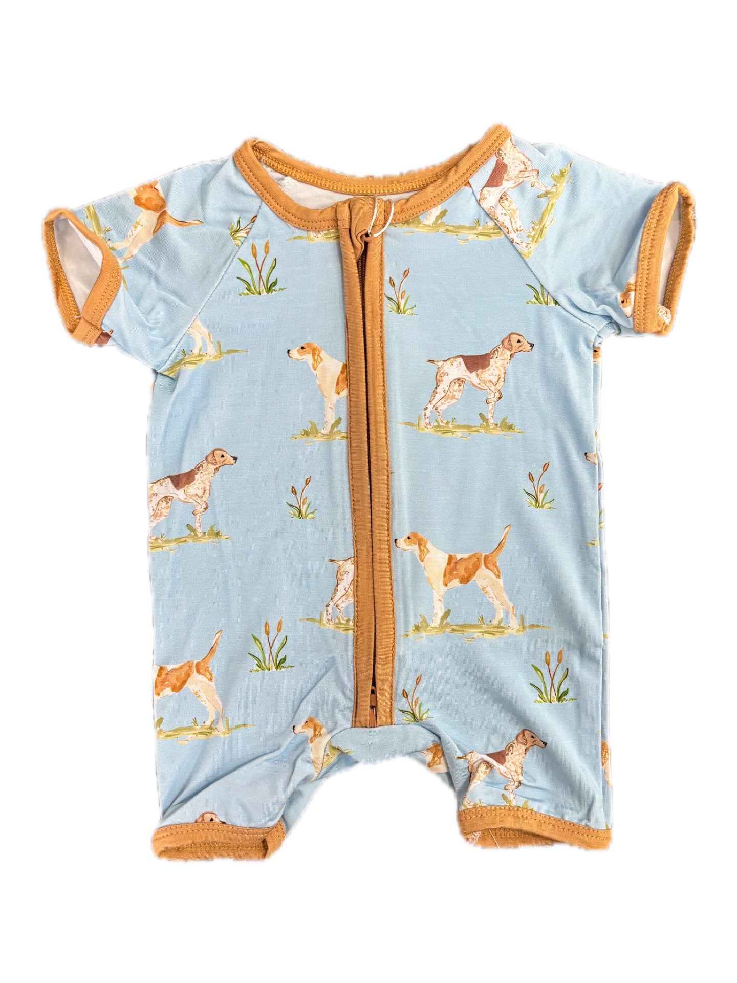 Pointer Bamboo Shortie