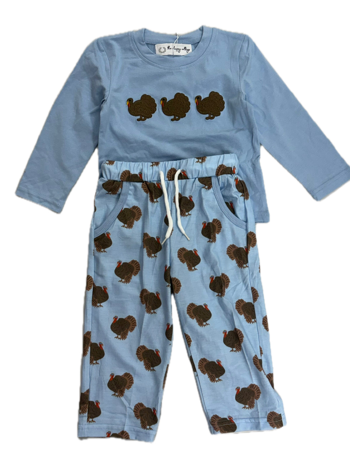 Blue Embroidered Turkey Pant Set