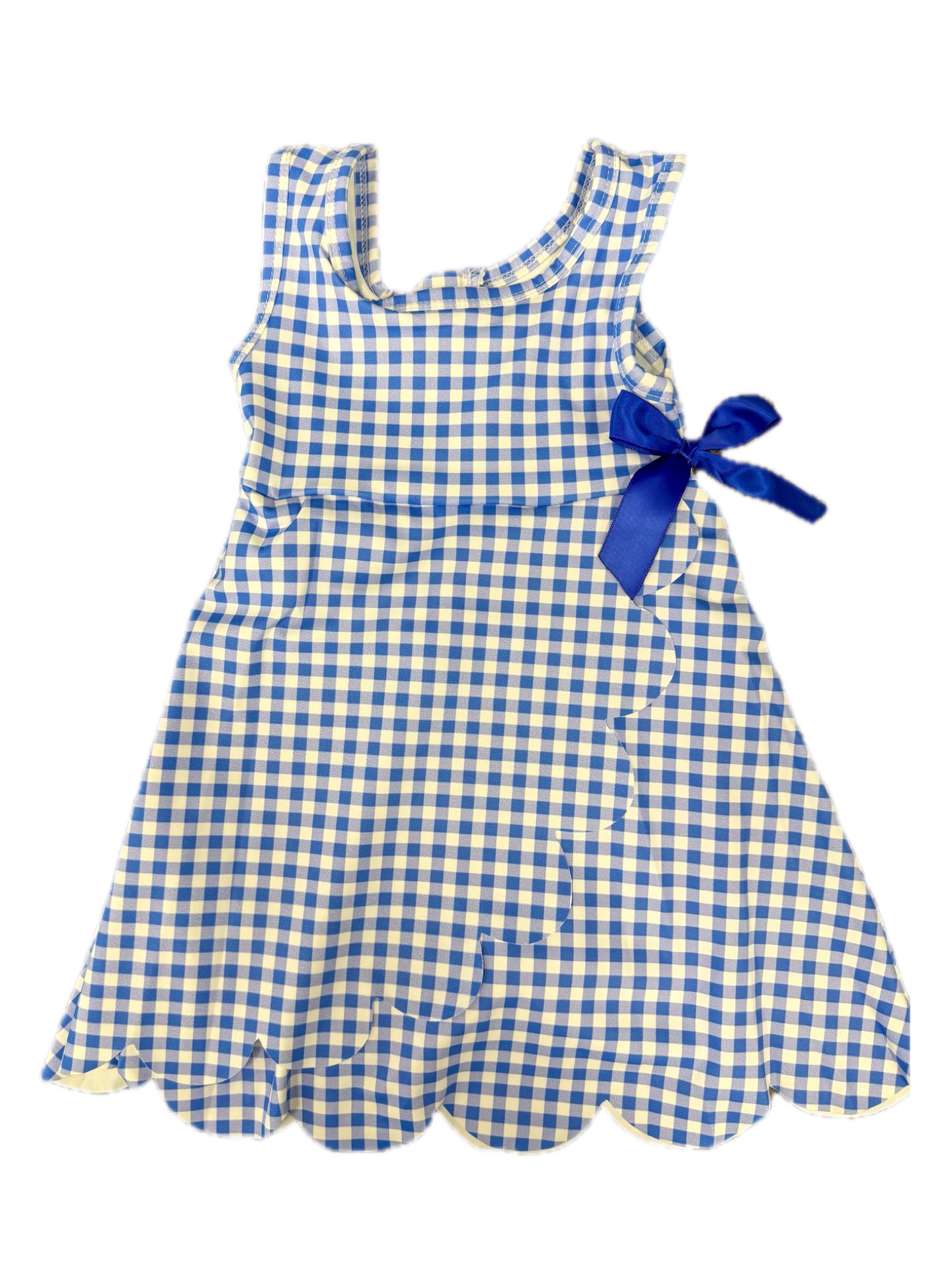 Blue Gingham Active Dress