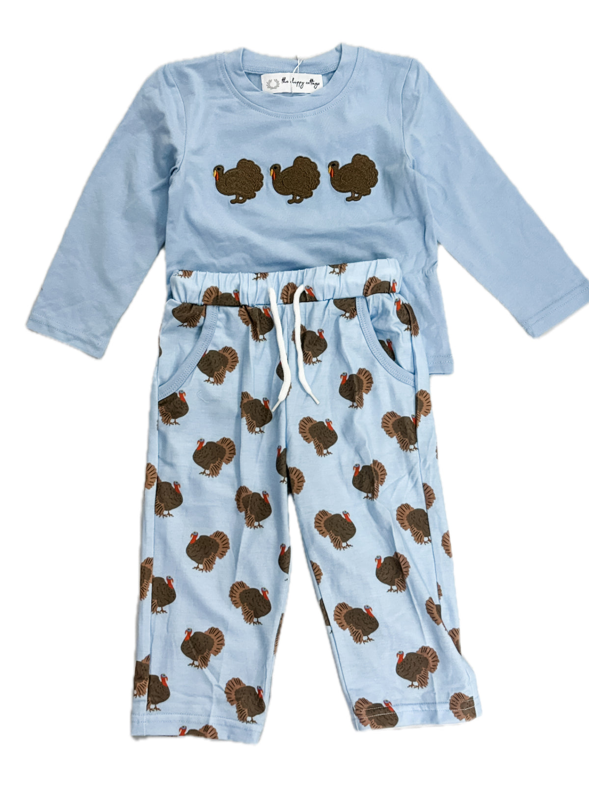 Blue Embroidered Turkey Pant Set