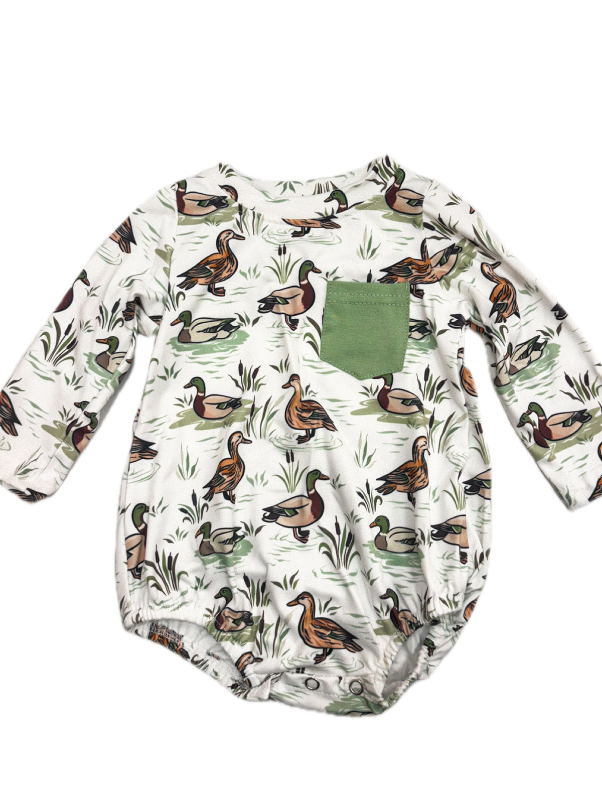 Pond Mallard Bubble