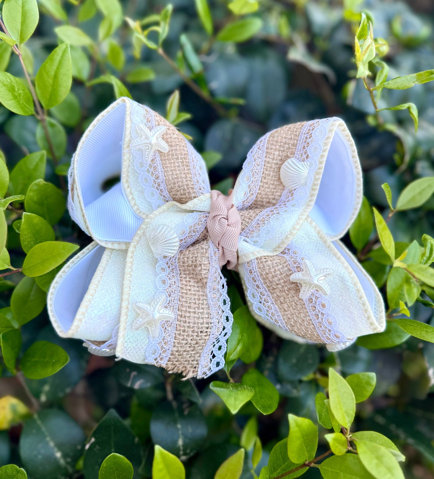 Seashell Beach Bow